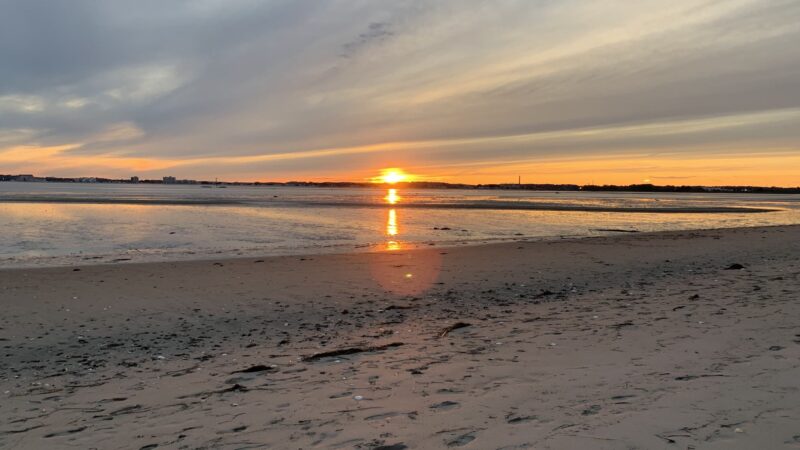 Doggie Beach - Nahant, MA