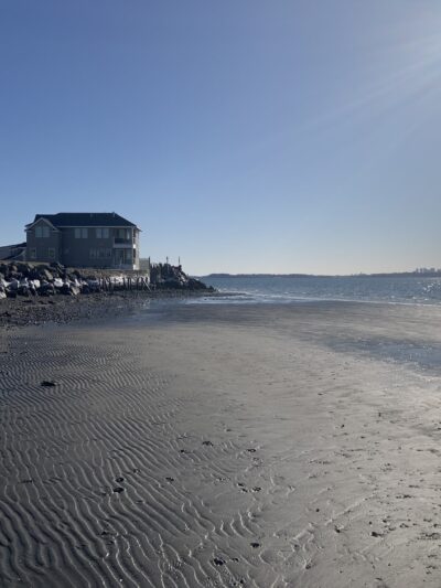 Doggie Beach - Nahant, MA