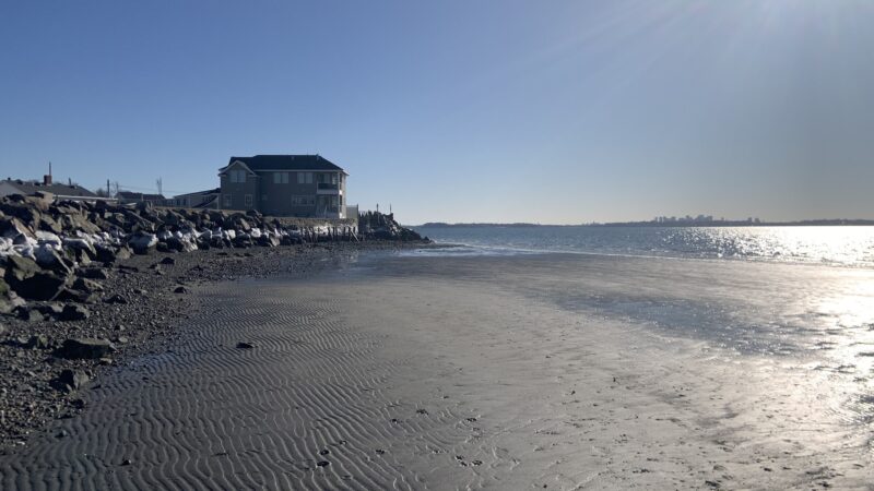 Doggie Beach - Nahant, MA
