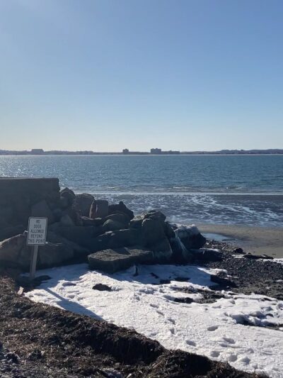 Doggie Beach - Nahant, MA