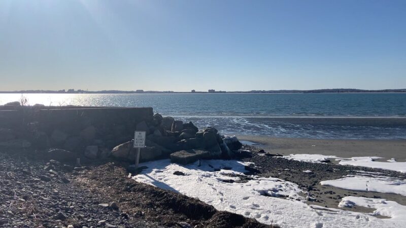 Doggie Beach - Nahant, MA