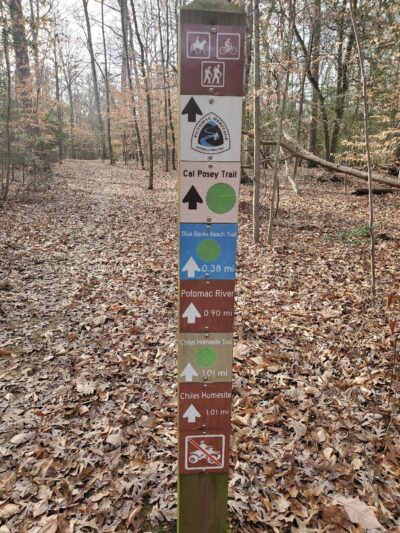 Purse (Nanjemoy WMA) - Nanjemoy, MD