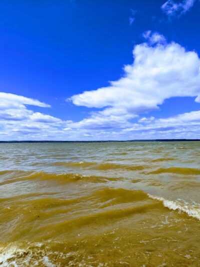 Purse (Nanjemoy WMA) - Nanjemoy, MD