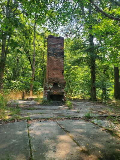 Purse (Nanjemoy WMA) - Nanjemoy, MD