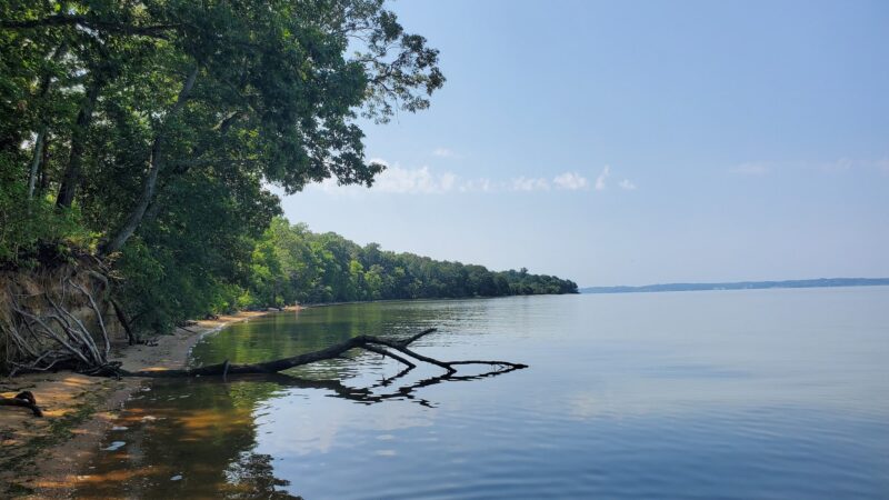 Purse State Park - Nanjemoy, MD