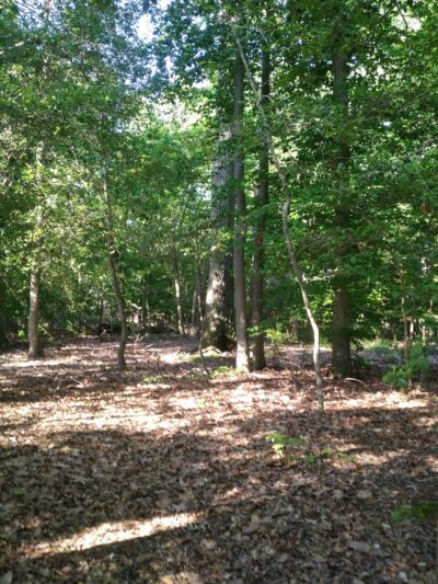 Purse State Park - Nanjemoy, MD