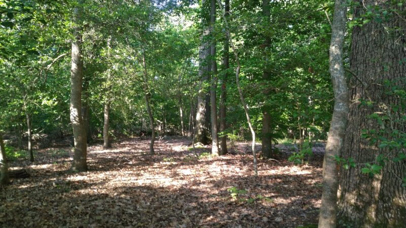 Purse State Park - Nanjemoy, MD