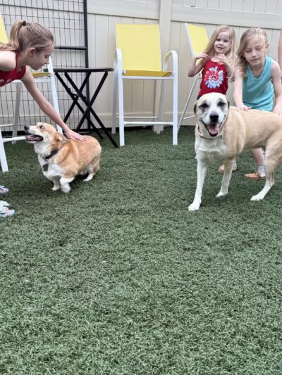 Bark ‘n Brews - Nanuet, NY