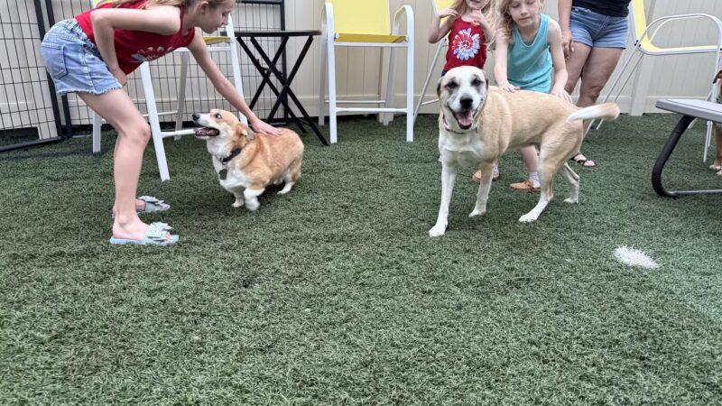 Bark ‘n Brews - Nanuet, NY