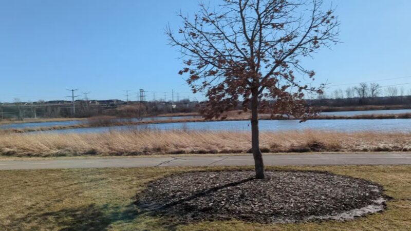 Whalon Lake Dog Park - Naperville, IL