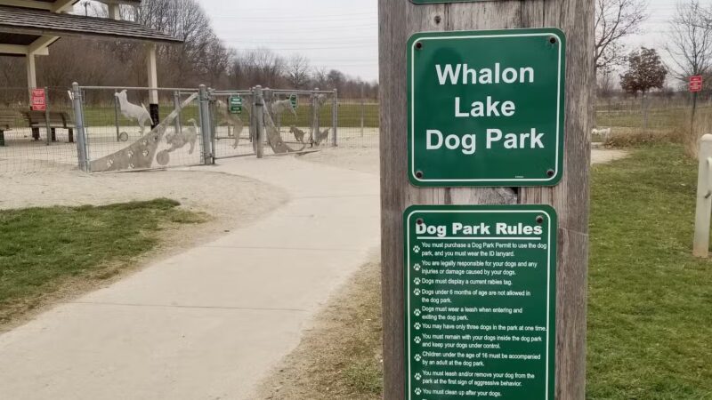 Whalon Lake Dog Park - Naperville, IL