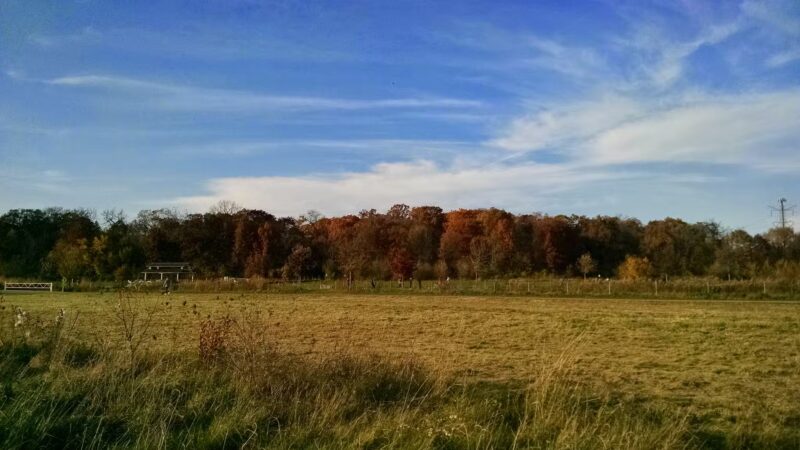 Whalon Lake Dog Park - Naperville, IL