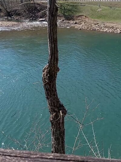 Waterfall at Falls Mill - Little Kanawha River - Napier, WV