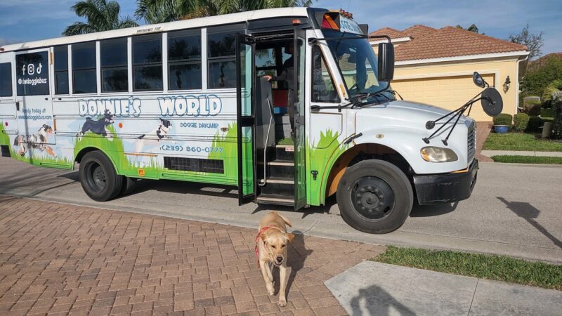 Donnie’s World LLC - Naples, FL