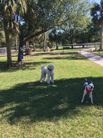 Rover Run - Naples, FL