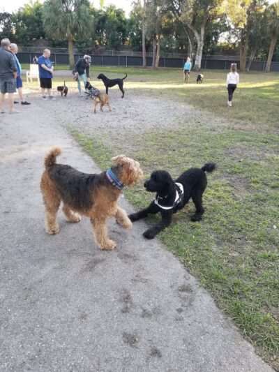 Rover Run - Naples, FL