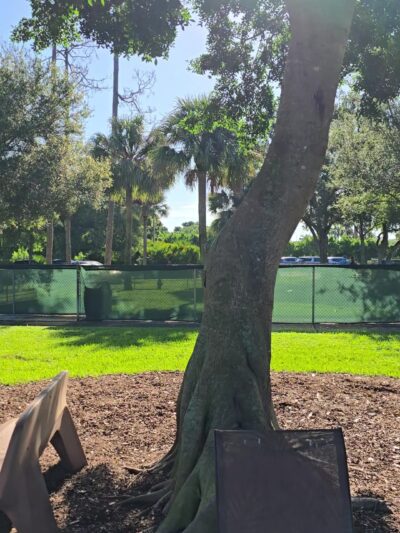 Rover Run - Naples, FL