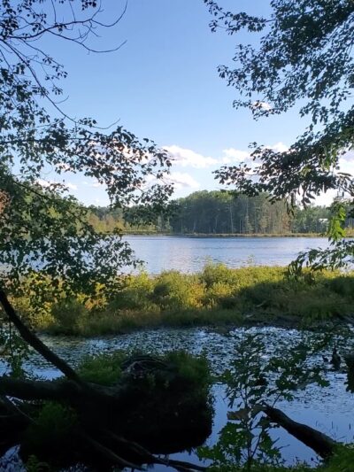 Lovewell Pond Yudicky Farm - Conservation Area - Nashua, NH