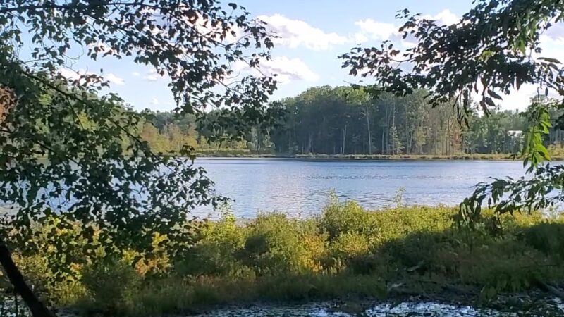 Lovewell Pond Yudicky Farm - Conservation Area - Nashua, NH