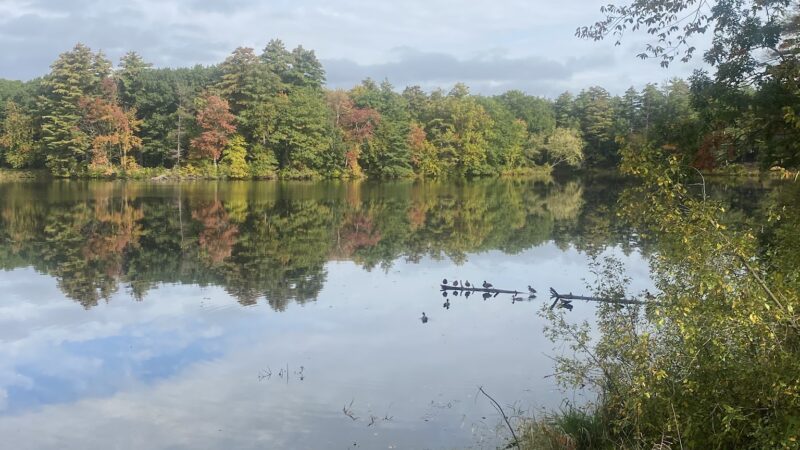 Mine falls trail head - Nashua, NH