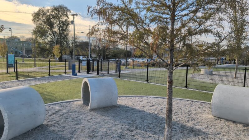 Central Dog Park - Nashville, TN