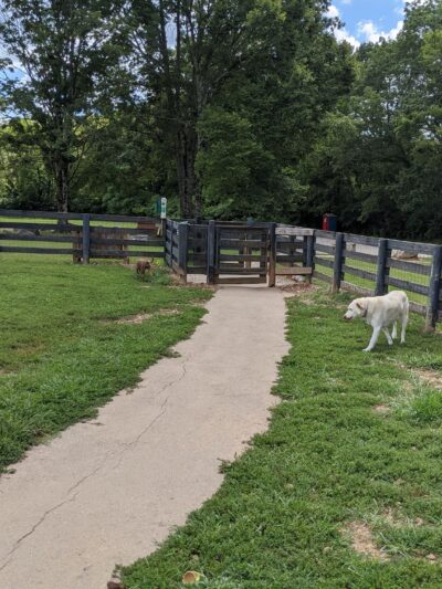 Edwin Warner Dog Park - Nashville, TN