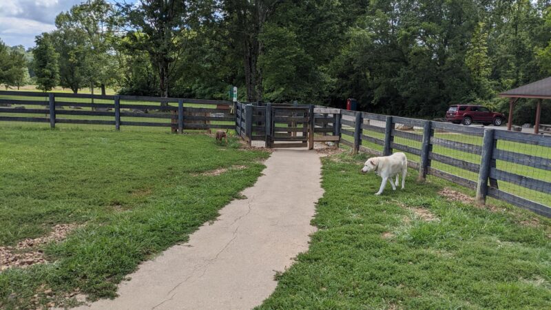 Edwin Warner Dog Park - Nashville, TN