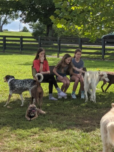 Edwin Warner Dog Park - Nashville, TN