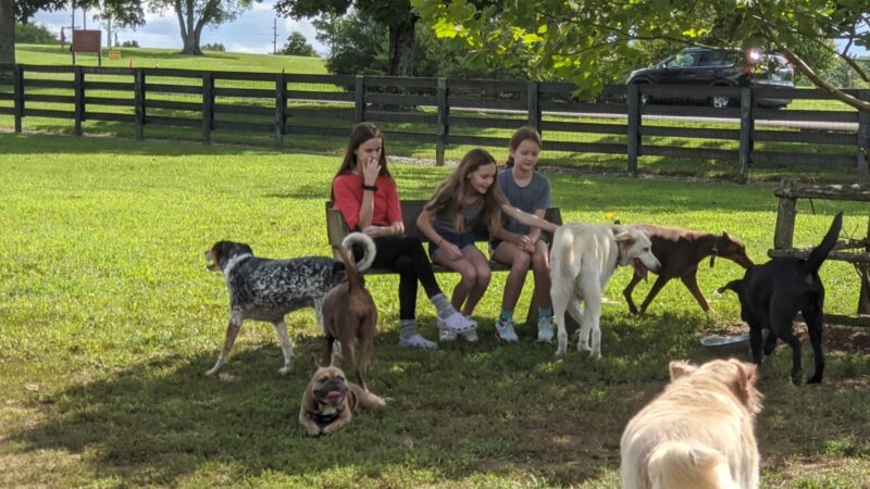 Edwin Warner Dog Park - Nashville, TN