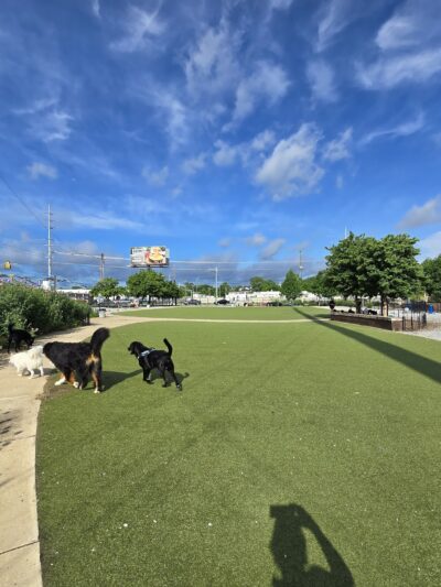 Fair Park Dog Park - Nashville, TN