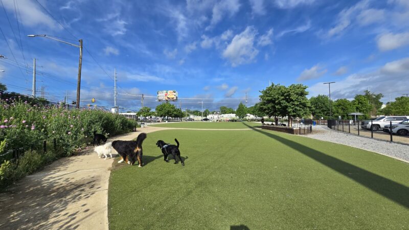 Fair Park Dog Park - Nashville, TN