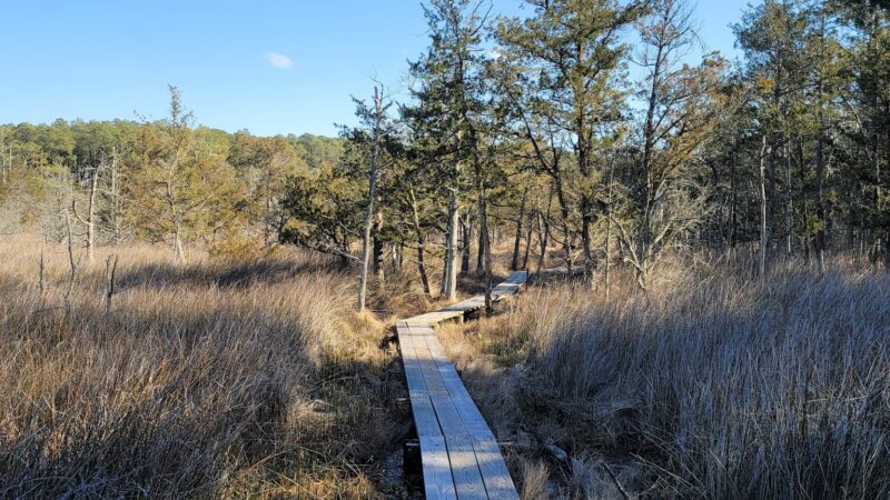 Brownsville Preserve - Nassawadox, VA