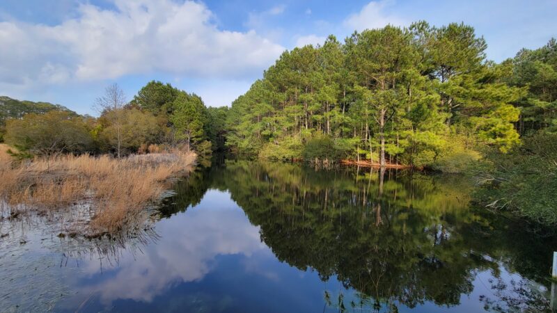 Brownsville Preserve - Nassawadox, VA