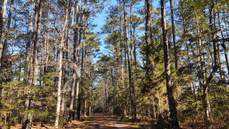 Brownsville Preserve - Nassawadox, VA