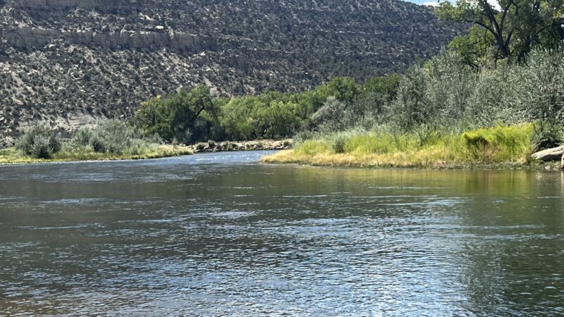 Navajo Lake State Park - Navajo Dam, NM