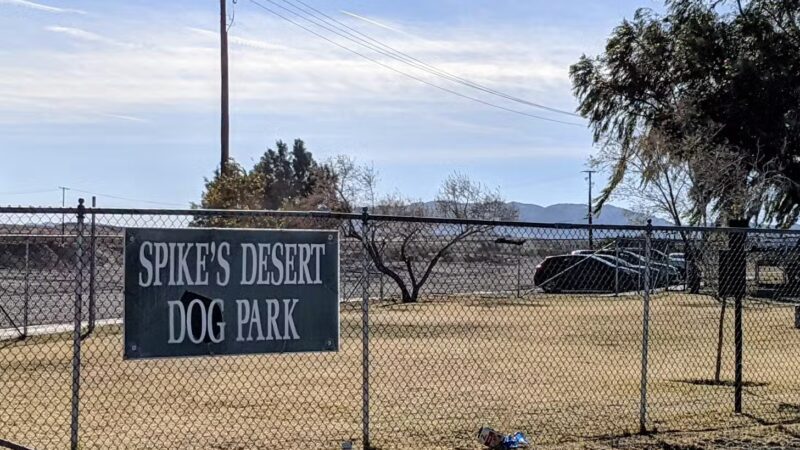 Spike's Desert Dog Parks - Needles, CA