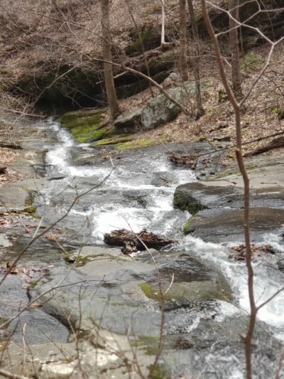 Pauls Creek Trail in Wintergreen - Nellysford, VA