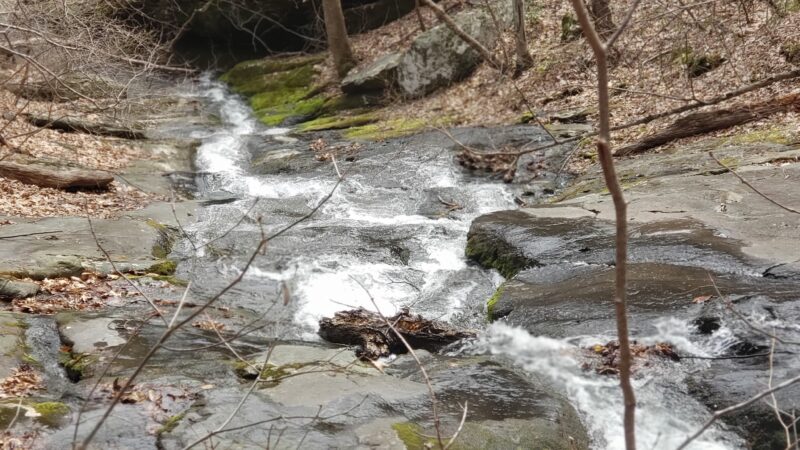 Pauls Creek Trail in Wintergreen - Nellysford, VA