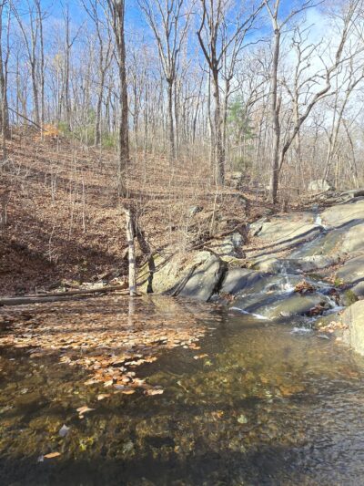 Pauls Creek Trail in Wintergreen - Nellysford, VA