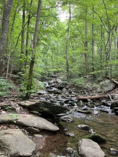 Pauls Creek Trail in Wintergreen - Nellysford, VA