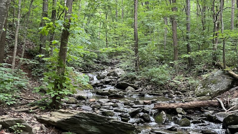 Pauls Creek Trail in Wintergreen - Nellysford, VA