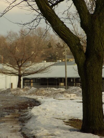 4-H Park - Nevada, IA
