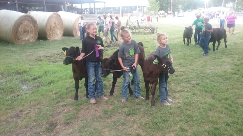 4-H Park - Nevada, IA