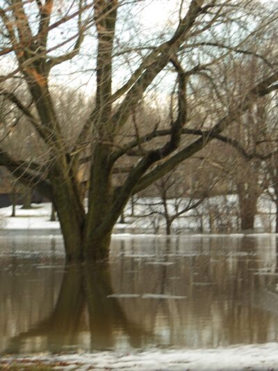 4-H Park - Nevada, IA
