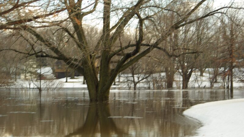 4-H Park - Nevada, IA