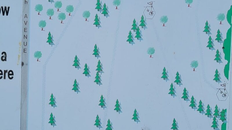 Nevis Disc Golf Course - Nevis, MN