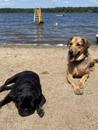 Owl's Nest Resort - Nevis, MN