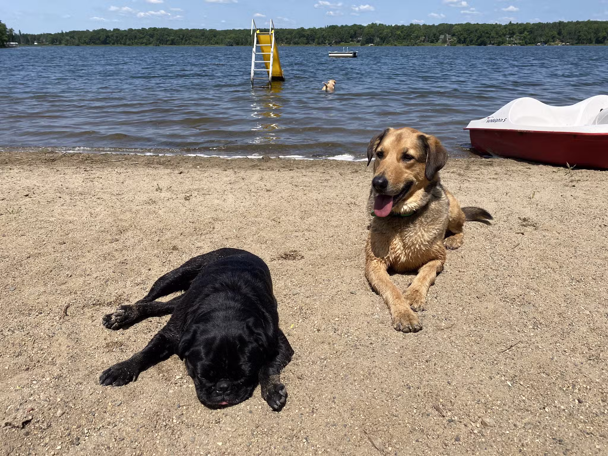 Owl's Nest Resort - Nevis, MN