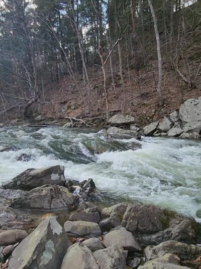 Hannacroix Creek Preserve - New Baltimore, NY