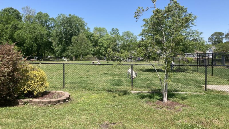 River Bend Dog Park - New Bern, NC